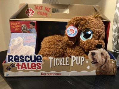 Rescue Tales Babies Bff – Corgi & Goldendoodle : Target