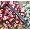DeWit Cobra-Style Cultivator – Precision Weeding & Soil Aeration Tool - 2 of 3