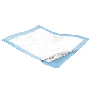 Cardinal Health Wings Plus Disposable Underpad Heavy Absorbency Fluff / Polymer 23X36" 7194 5 pads - 1 of 2
