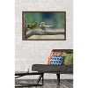 Trends International The Comedy Wildlife Photography Awards: Jacek Stankiewicz - Dispute Framed Wall Poster Prints - 2 of 4