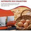 3/ 4 Hole Metal Chicken Nesting Box with Removable Roll-Out Tray Easy Egg Collection & Clean Galvanized Steel Laying Box, for Backyard Coop Orange - 4 of 4