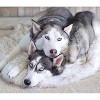 PAW BRANDS PupRug Faux Fur Orthopedic Luxury Dog Bed - 2 of 4