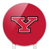 Youngstown State Primary Logo Acrylic Cake Topper Party Decoration for Wedding Anniversary Birthday Graduation - 3 of 4