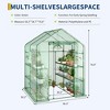 Greenhouse for Outdoors, 57 x 57 x 76'' Walk in Plant Greenhouses Heavy Duty with Durable PE Cover, 4 Tiers 12 Shelves Stands Portable Green House - 2 of 4
