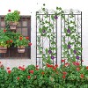 Artloge 2 PCS  Metal Garden Border Trellis - 71.6" Tall Climbing Plant Fence for Outdoor Patio & Backyard Lawn Edging - 3 of 4