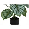 Monarch Specialties Artificial Plant 24 inch Tall Calathea Indoor Faux Fake Table Greenery Potted Real Touch Decorative Green Leaves Black Pot - 3 of 4