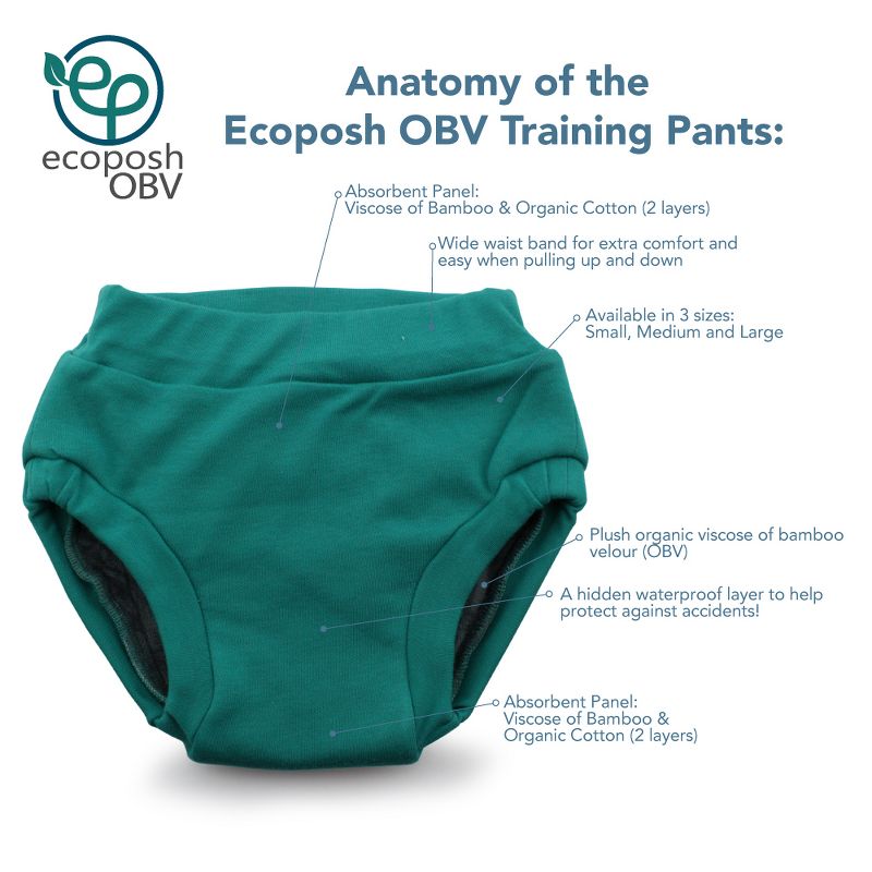 Kanga Care Ecoposh OBV (Organic viscose of Bamboo Velour) Potty Training Pants, 5 of 6