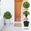 poetree 27 in. Green Artificial Boxwood Topiary Ball Tree Indoor Outdoor UV Resistant Bushes in Potted Tree 2 Pack - 3 of 4