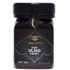 Bee Ulmo Raw Honey APF 200+ - Case of 12/8.8 oz - 2 of 3