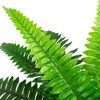 Northlight Potted Artificial Tall Green Boston Fern Plant - 17.5" - 4 of 4