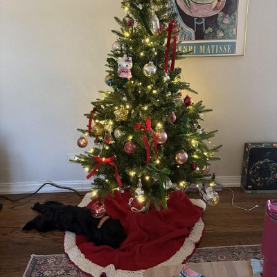 Guest review image 1 of 2, zoom in