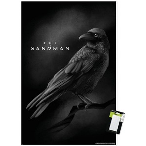 Trends International DC The Sandman (2022) - Matthew The Raven Unframed Wall Poster Prints - 1 of 4