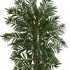 HomeStock  5 ft. Artificial Palm Tree in Planter for Indoor/Outdoor - 2 of 3