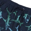 Lands' End Kids Slim Stretch Hydroliner Swim Trunks - 2 of 2