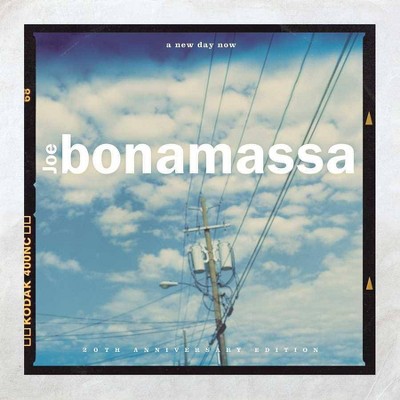 Joe Bonamassa - A New Day Now (2 LP) (Vinyl)