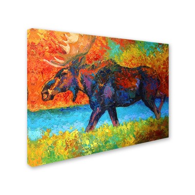 Trademark Fine Art -Marion Rose 'Moose EBSQ' Canvas Art