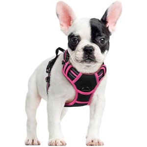 rabbitgoo Dog Harness No Pull with 2 Leash Clips, , Reflective Oxford No Choke Pet Vest with Easy Control Handle for Large Dogs, Black & Hot Pink, S - 1 of 1