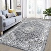 Acekool 5x7 Washable Area Rug, Non Slip, Thin, Foldable, Non-Shedding Carpet – Soft, Easy Care Floor Mat for Living Room, Bedroom, Kitchen - 3 of 4