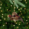 Northlight Woodland Baby Bird with Plaid Winter Scarf Christmas Ornament - 5.5" - 2 of 4