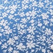 sky blue floral