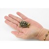 Tortoise, Indian Star Tortoise, Testudinidae, Hand Painted, Realistic Toy Figure, Model, Replica, Kids, Educational, Gift,    2 Inches   CH462 BB114 - 3 of 4