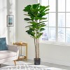 TopComfy Artificial Trees 180cm Artificial Fiddle Leaf Fig Tree Fiddle Leaf Fig Tree 72 Leaves Fake Fig Tree in Pot for Home, Green, 30"*30"*71" - 2 of 4