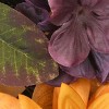 30" Harvest Sunflowers Wreath - National Tree Company - 3 of 4