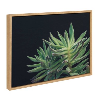 Natural Framed Canvas Print of Succulent 13, 18" x 24"