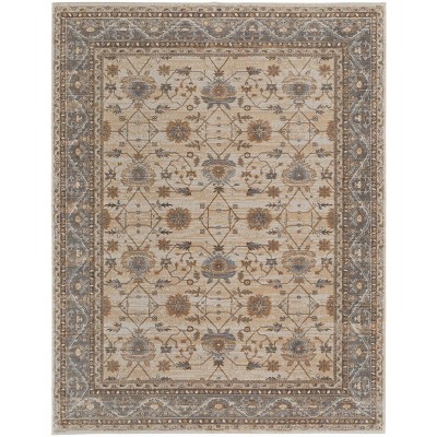Celene Traditional Bordered Tan/Ivory/Gray Area Rug