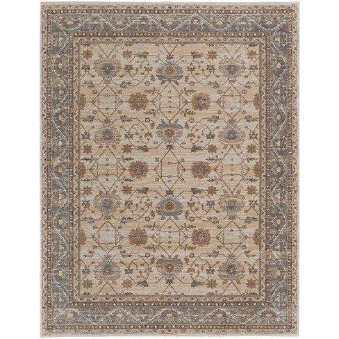 Celene Traditional Bordered Tan/ivory/gray Area Rug : Target