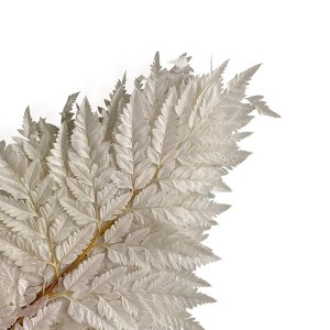 Alilang Decorative Dried Fern Leaves for Home Decoration and Floral Arrangements, 13.5 Inches - 1 of 3