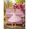 2Bunnies Girls 3-8Y Sparkly Butterfly Sequin Embellished Tulle Birthday Party Dress - 3 of 4
