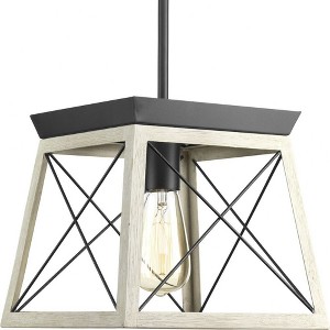 Progress Lighting Briarwood 1-Light Mini-Pendant, Steel, Graphite Finish, Faux-Painted Wood Enclosure - 1 of 4