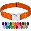 Country Brook Petz Premium Nylon Dog Collar with Metal Buckle for Small Medium Large Breeds - Vibrant 30+ Color Selection - 2 of 4