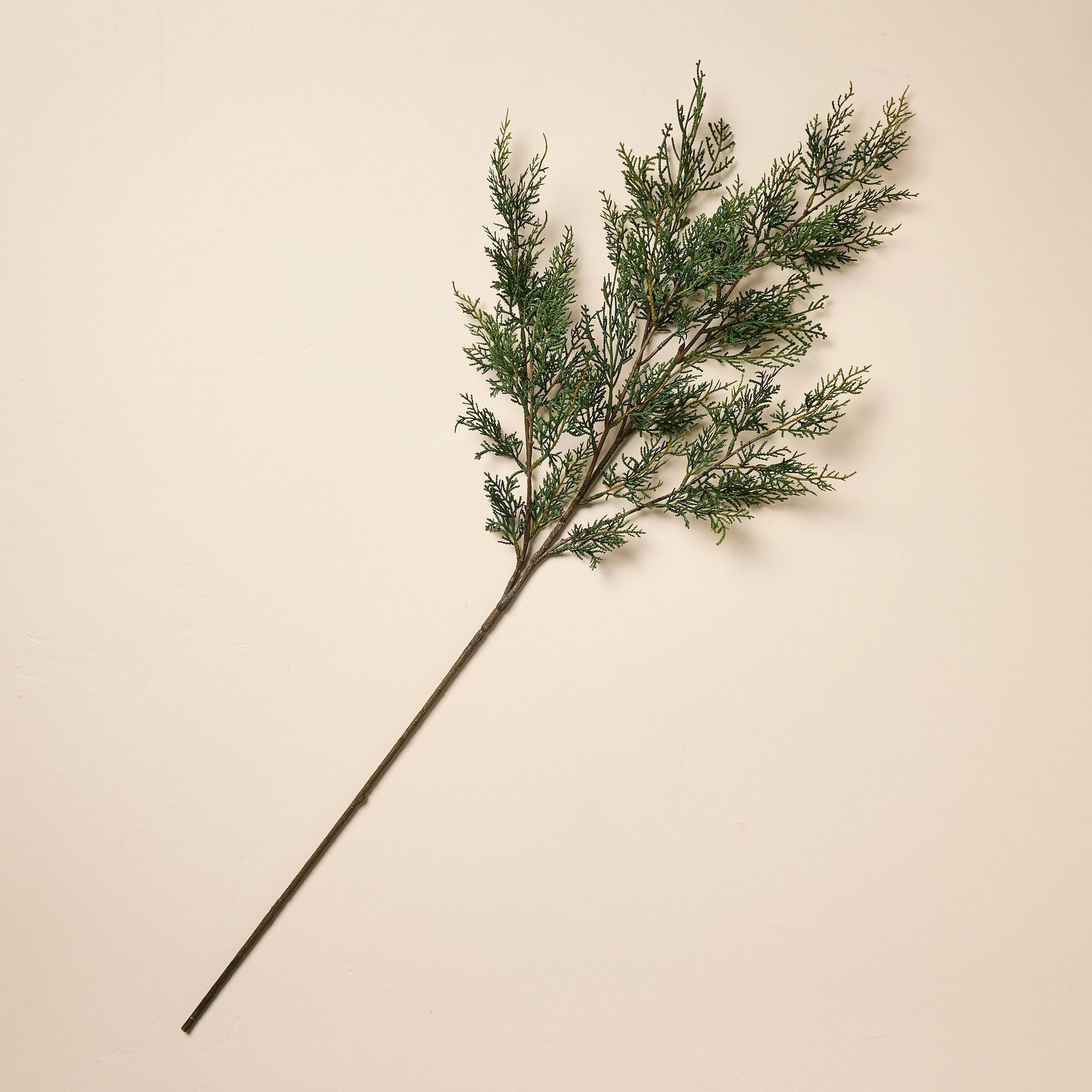 42" Cedar Artificial Branch - Hearth & Hand™ with Magnolia