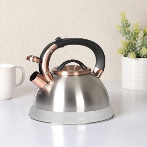 Mr. Coffee Flintshire 2.2 Quart Large Whistling Stainless Steel Tea Kettle - 1 of 4