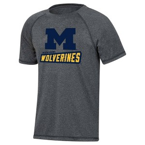 NCAA Michigan Wolverines Boys' Gray Poly T-Shirt - 1 of 3