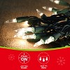 Joyfy 100 Count Clear Christmas String Lights, Warm White Fairy Light Xmas Tree Lights with Green Wire Decoration for Holiday Party Decor - 4 of 4
