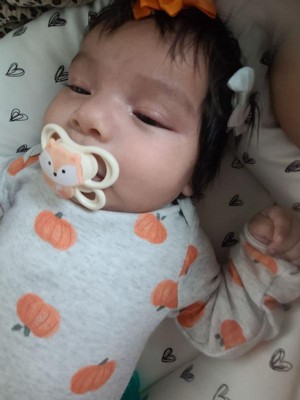 Guest review image 3 of 5, zoom in