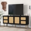 NicBex TV Stand for TVs up to 70 Inches,Modern TV Media Console Table with Rattan Door and 3 Cabinets - 2 of 4