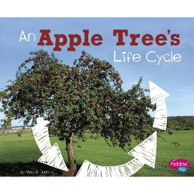 An Apple Tree's Life Cycle - (Explore Life Cycles) by  Mary R Dunn (Paperback)