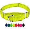 Country Brook Petz Reflective Nylon Martingale Dog Collar - 3 of 4
