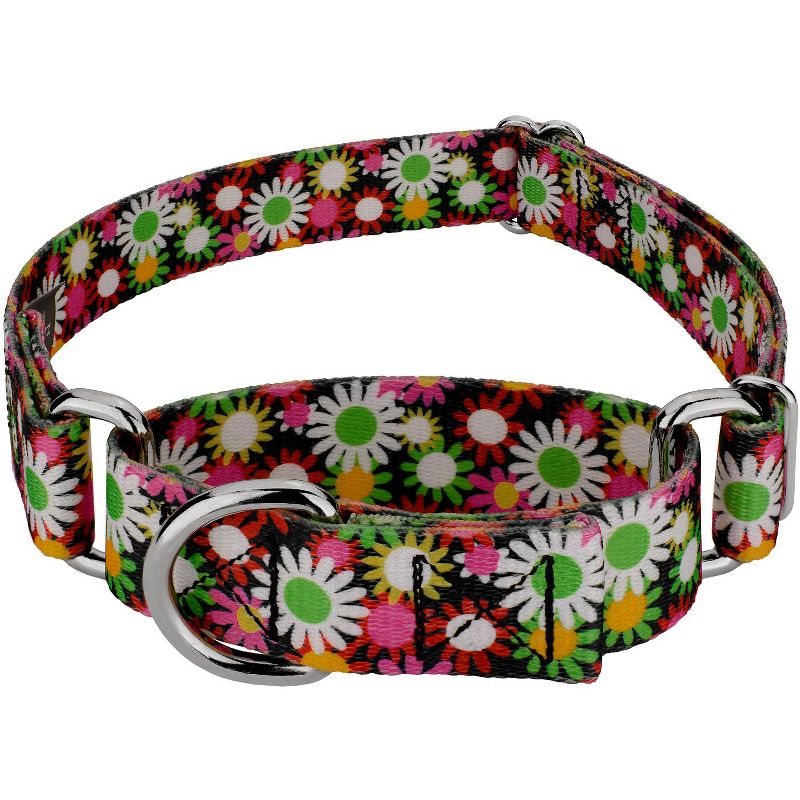 Country Brook Petz Daisy Fields Martingale Dog Collar, 1 of 9