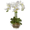 Nearly Natural Triple Phalaenopsis Orchid in Glass Vase - 2 of 3