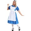 HalloweenCostumes.com Fun Costumes Womens Adult Deluxe Alice Costume. - 3 of 4