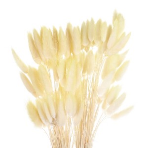 Unique Bargains Decorative Natural Dried Floral Bunny Tail Artificial Plants 120 Pcs - 1 of 4