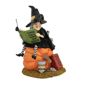 12.75 In How To Train Your Black Cat Witch Pumpkin Cat Nip Pumpkin Figurines - 1 of 3