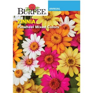 Burpee Zinnia Pinwheel Flower Seeds - 1 of 2