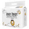 Andy Pandy Bamboo Training Pants - Size 2T - 25ct - 2 of 4