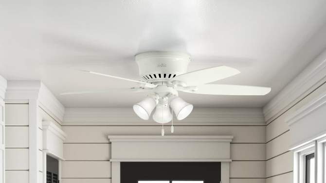 42" Builder Low Profile Ceiling Fan (Includes LED Light Bulb) - Hunter Fan, 2 of 19, play video